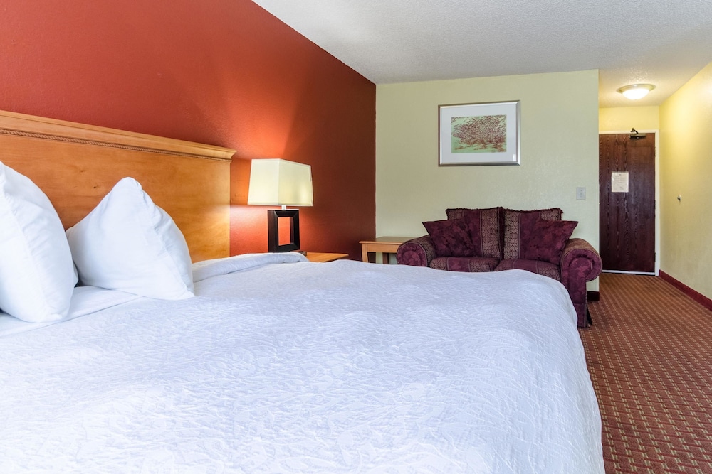 Rodeway Inn & Suites Jacksonville Near Camp Lejeune 18/51