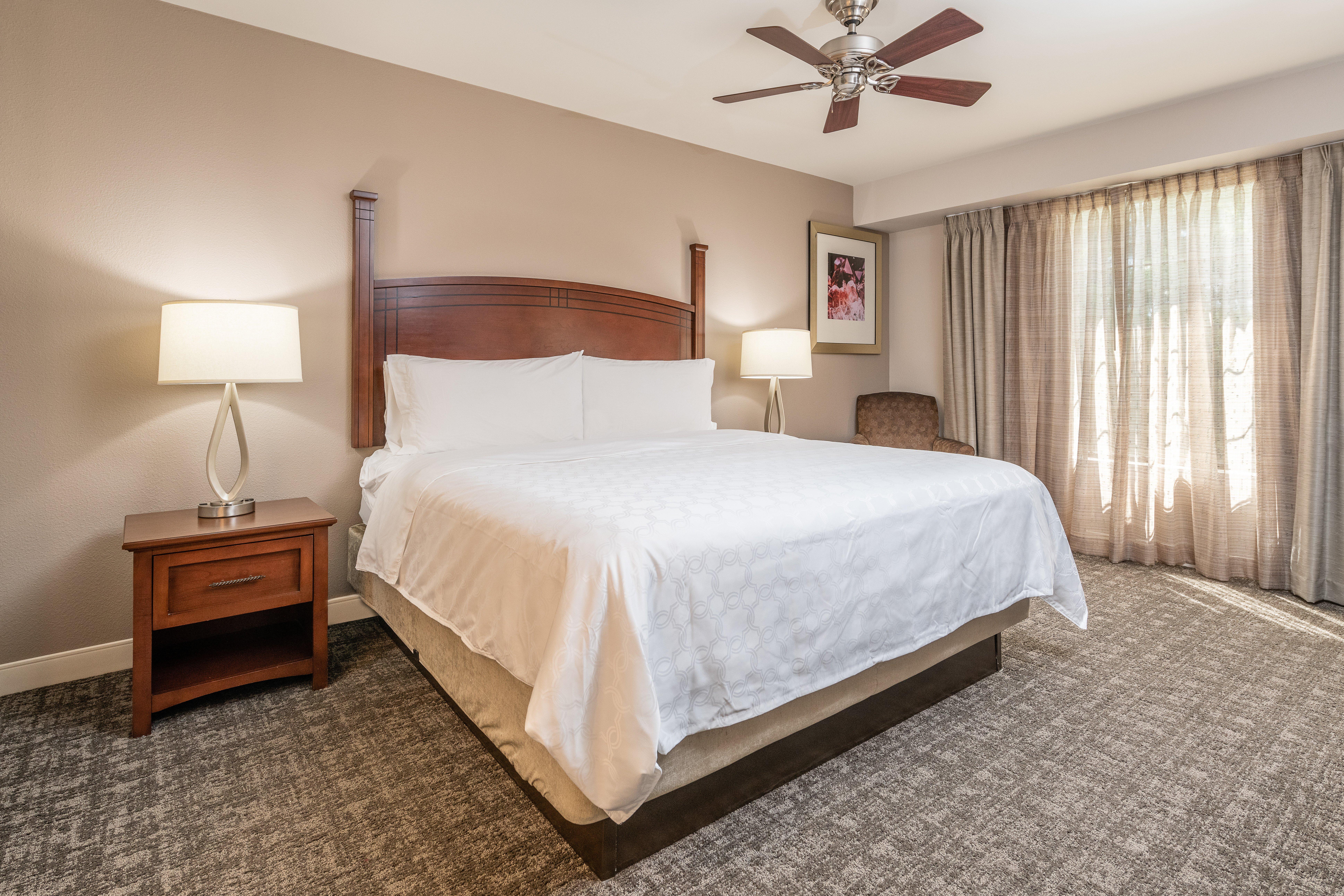 Suite, King Bed