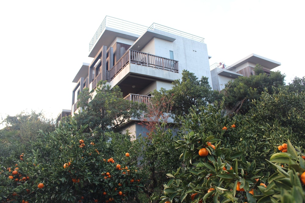 Jejueco Suites 7/36