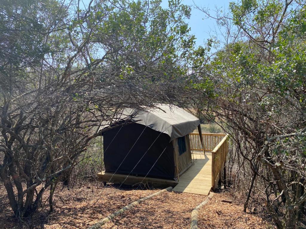 Horseshoe Game Reserve 25/47