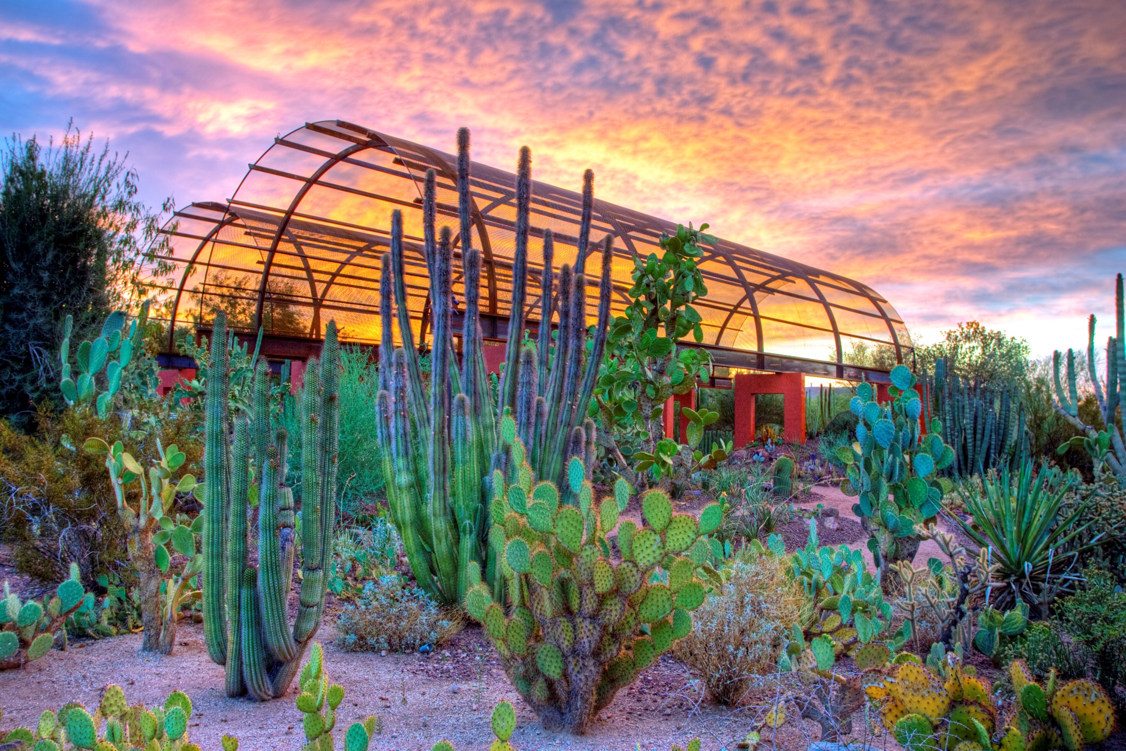 Holiday Inn Express & Suites Phoenix - Airport North 59/71
