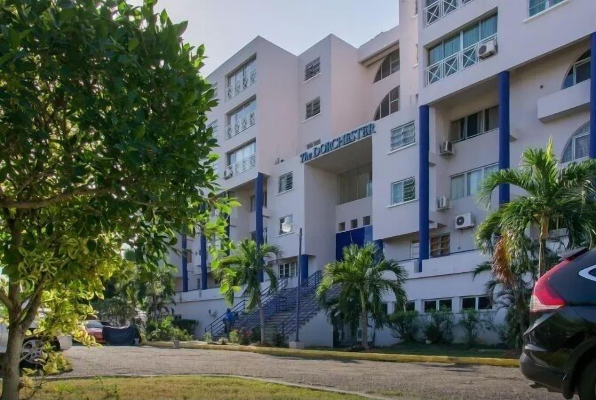 New Kingston Guest Apartment Iii 16/19
