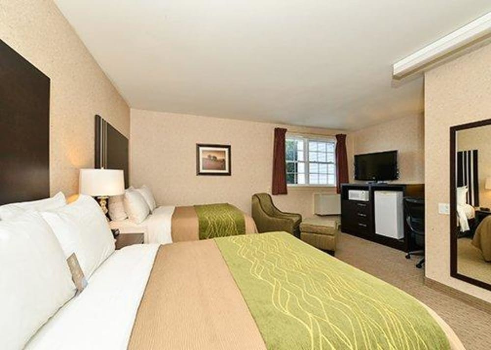 Comfort Inn Halifax NS 15/45