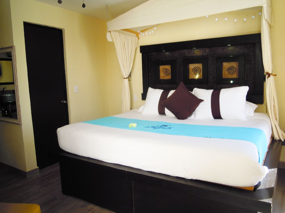 Hotel & Spa Mansion Del Burro Azul 17/50