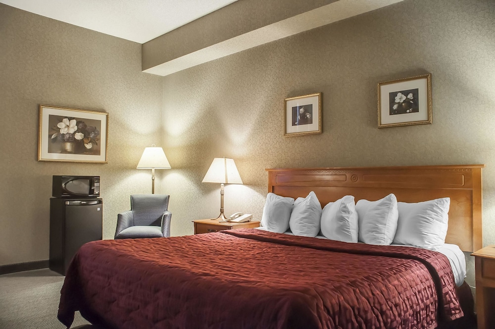 Comfort Inn Lundy's Lane 17/40