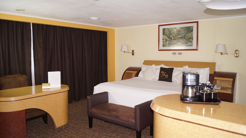 Real Del Sur Hotel 8/50