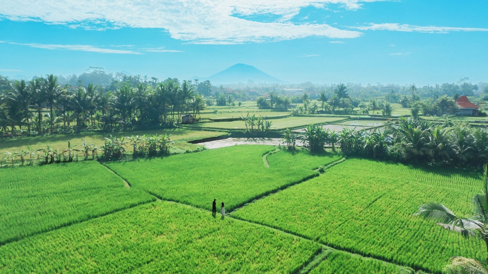 Temuku Villas Ubud 30/50