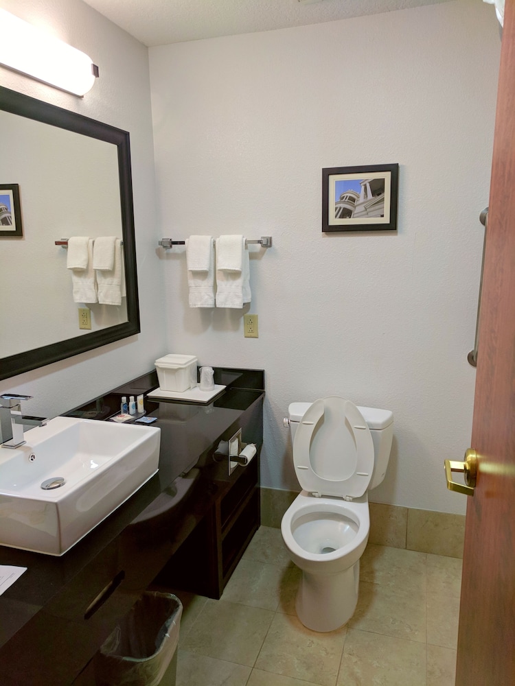 Comfort Inn Suites Statesboro 21/34