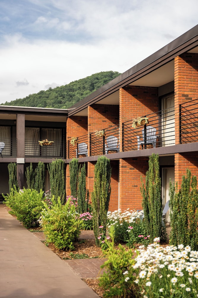 Beaucatcher a Boutique Motel 4/46