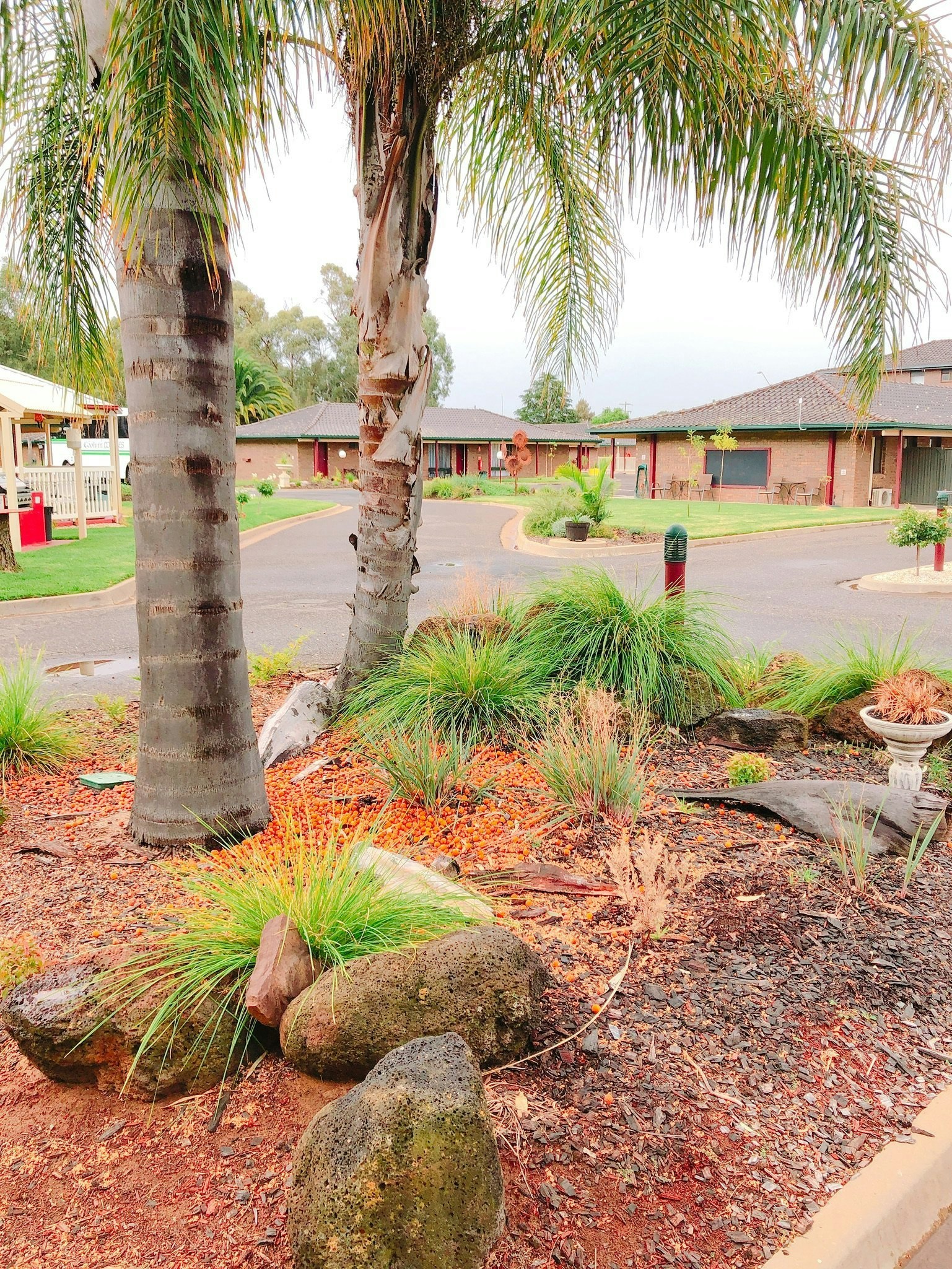 Meninya Palms Moama 50/59