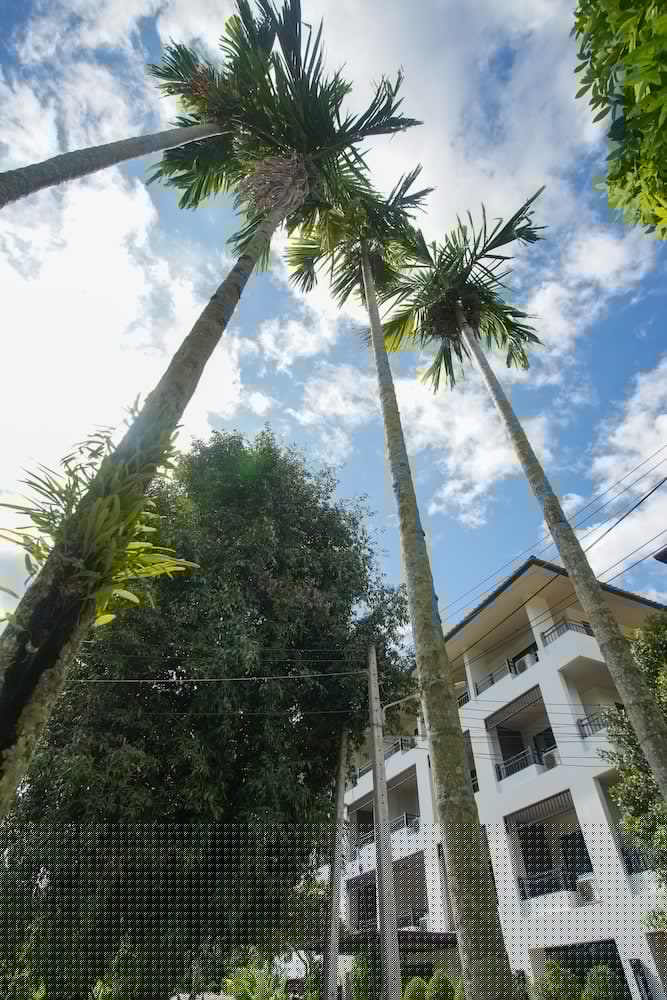 SANG SERENE HOUSE 39/44