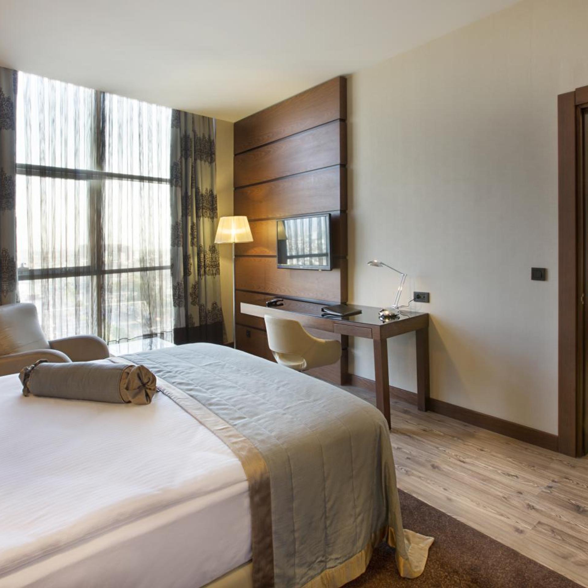 Dedeman Erbil Hotel 19/64