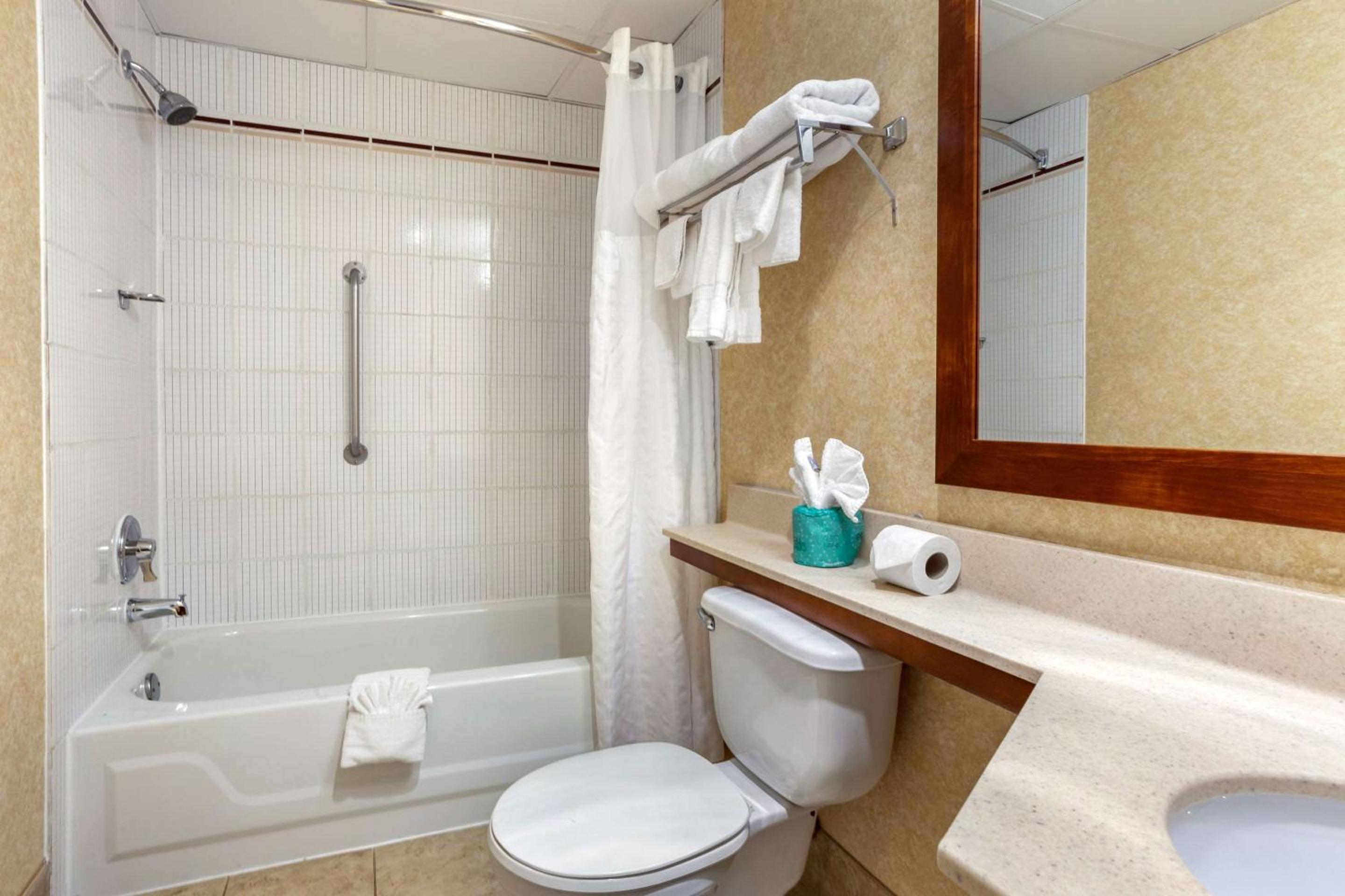 جناح بسريرين مزدوجين مع أريكة، Comfort Suites Oakbrook Terrace - Chicago West 7/7