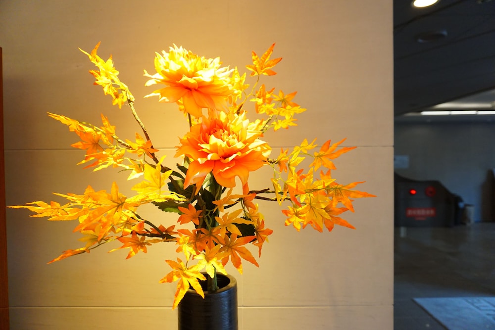 Mars Garden Hotel Hakata 52/59