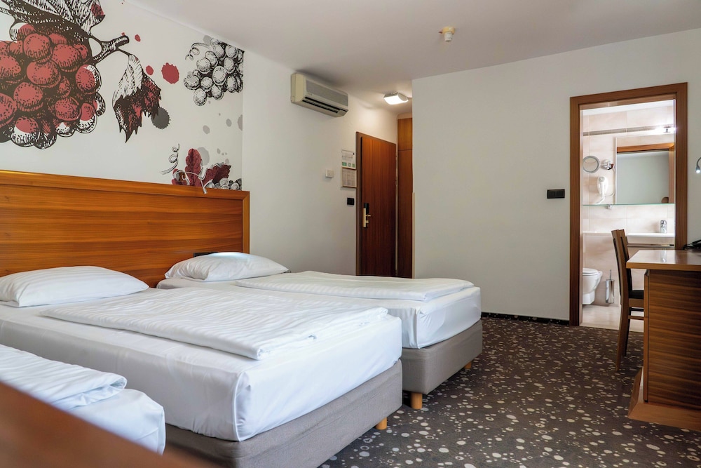 Hotel Piramida 16/51