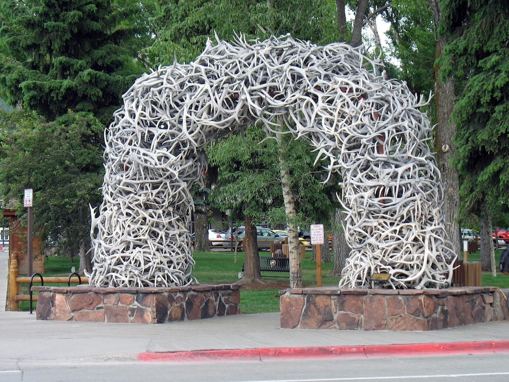 Jackson Lake Lodge 3/48