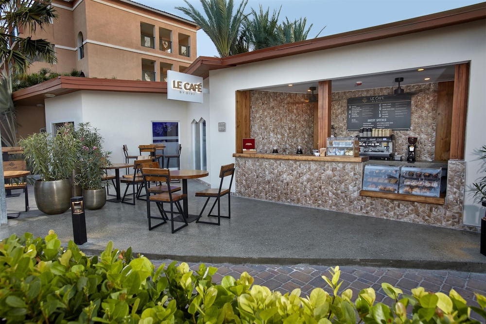 Divi Aruba All Inclusive Resort 11/60