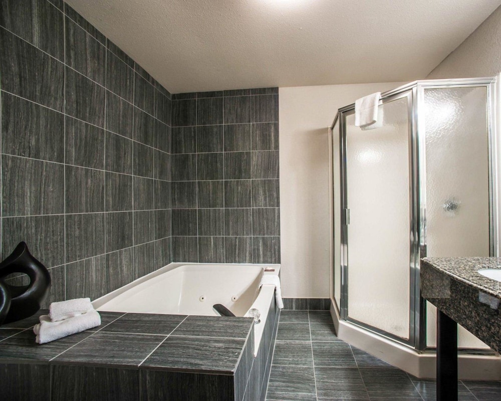 Comfort Suites Nashville Airport - BNA 20/52