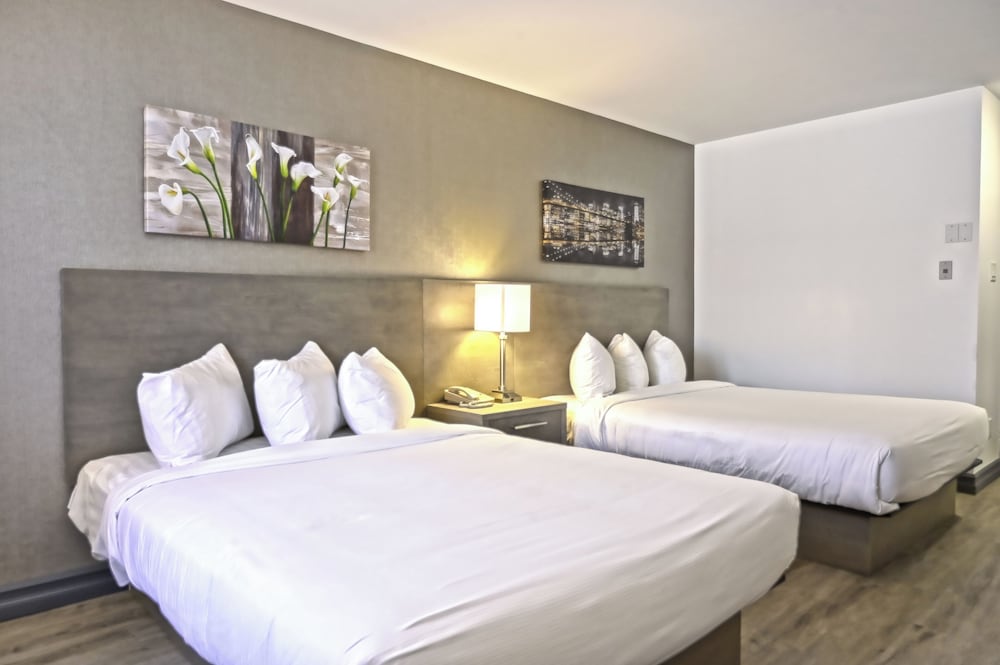 Repotel Levis 12/48