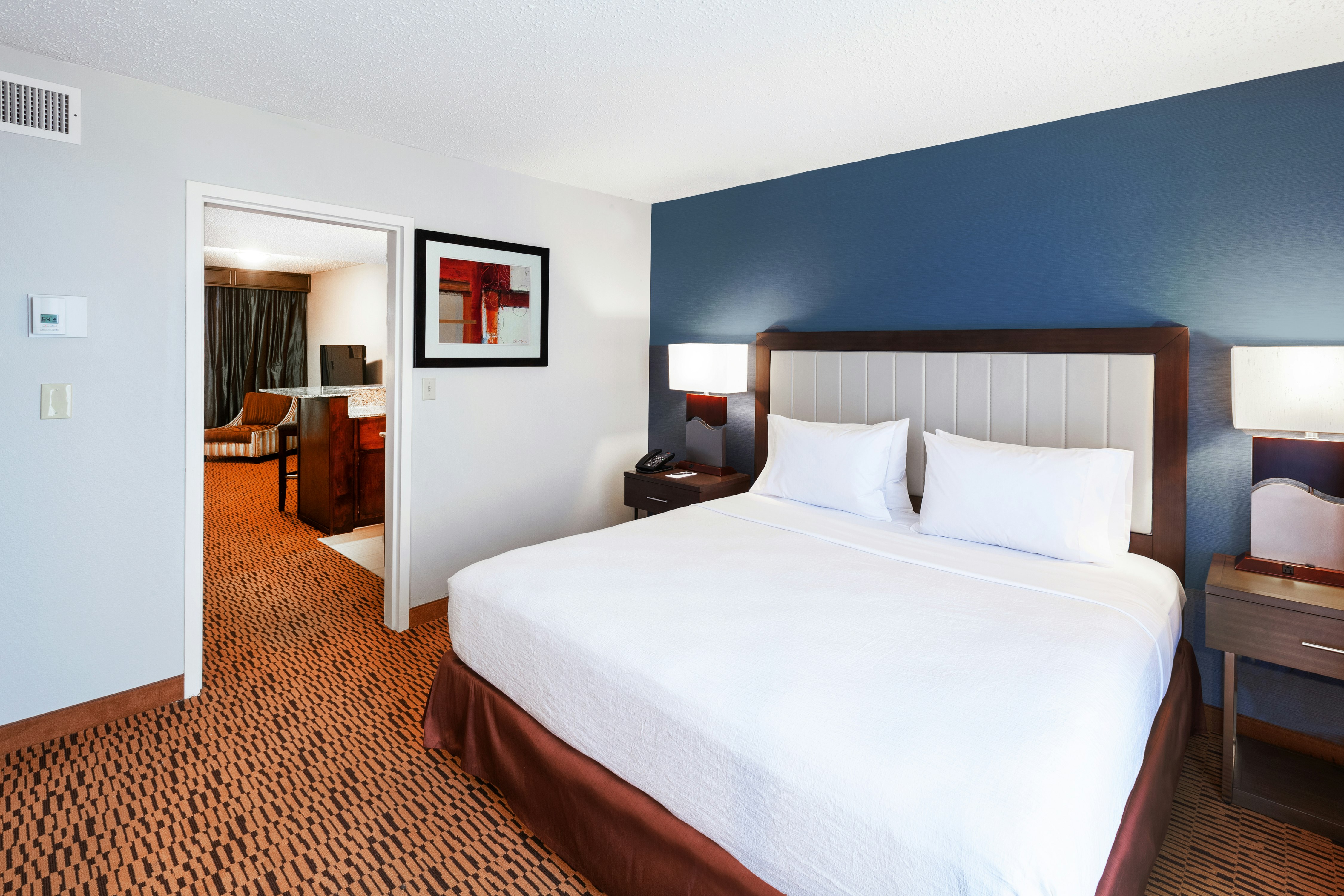 Suite, King Bed, Large