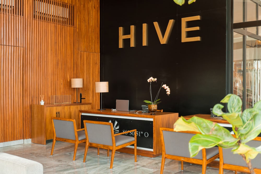Hive Cancun 9/50
