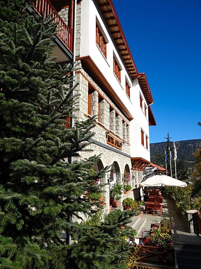 HOTEL APOLLON METSOVO 43/49