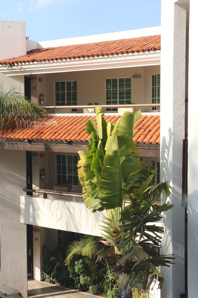 Aurea Hotel And Suites 5/50