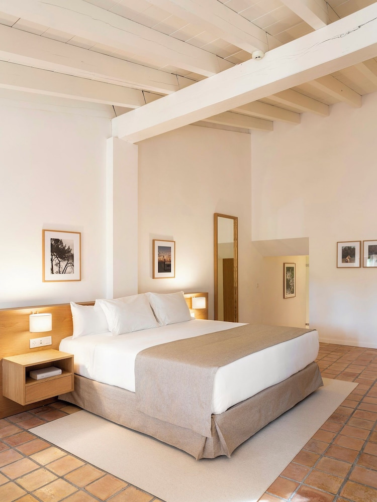 Studio, Suite, King Bed, Terrace