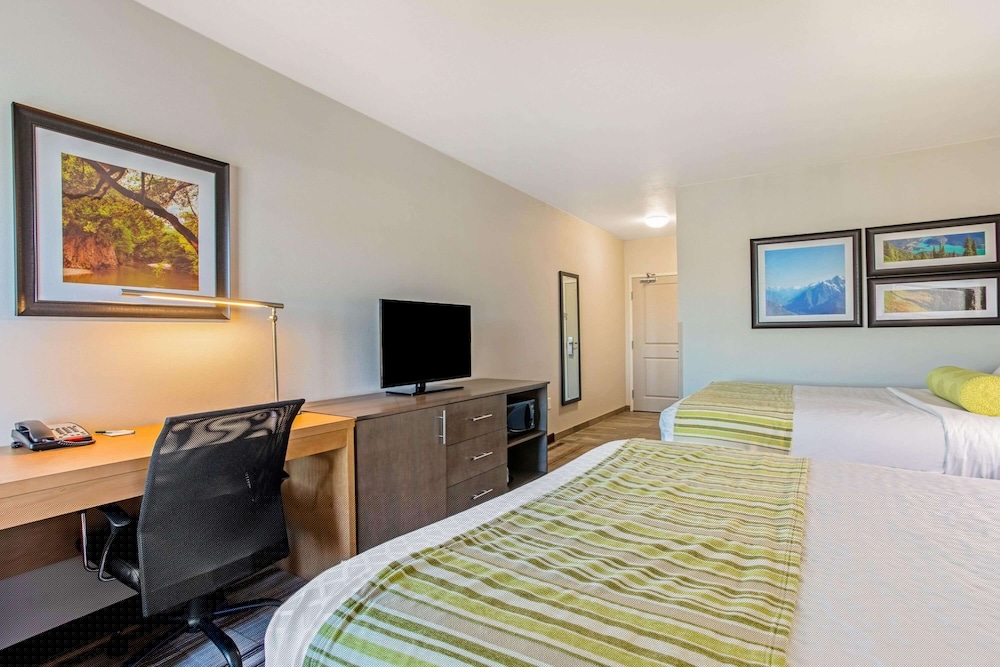 La Quinta Inn Suites Paducah 23/58