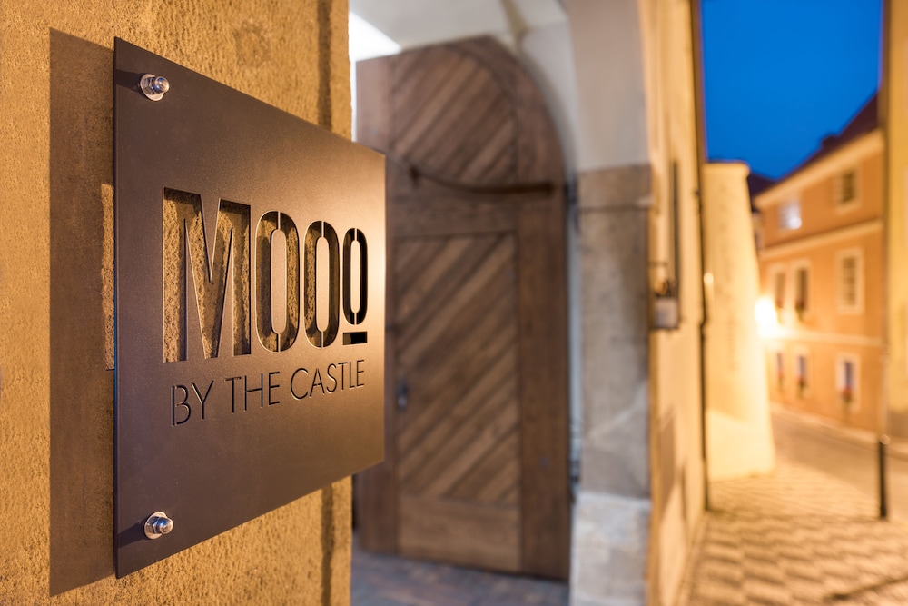 Mooo By The Castle 29/66