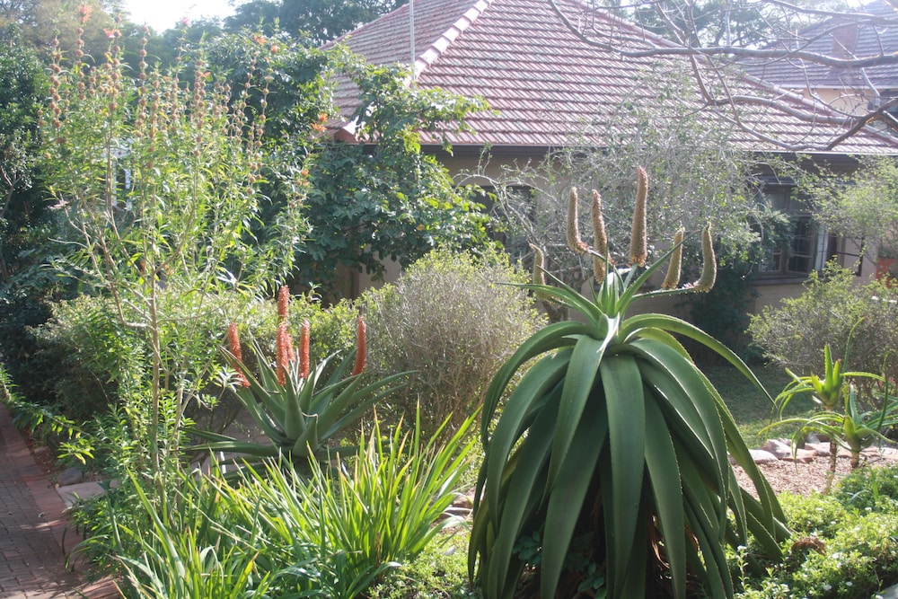 Mackaya Bella Guest House 61/71