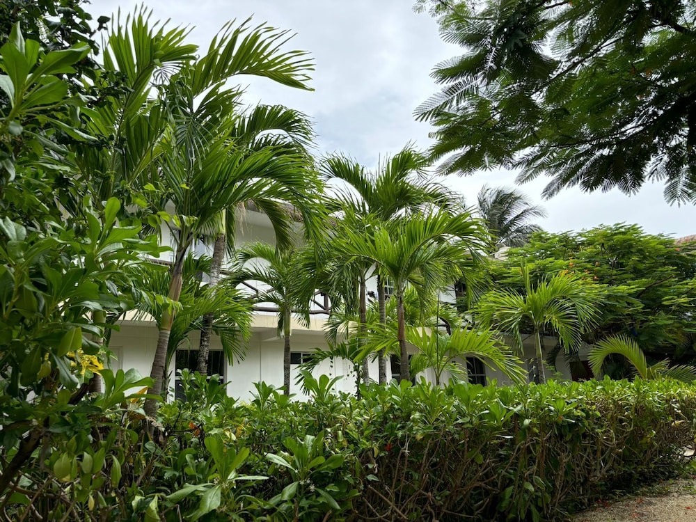 La Diosa Kali Beach Front Hotel 36/50