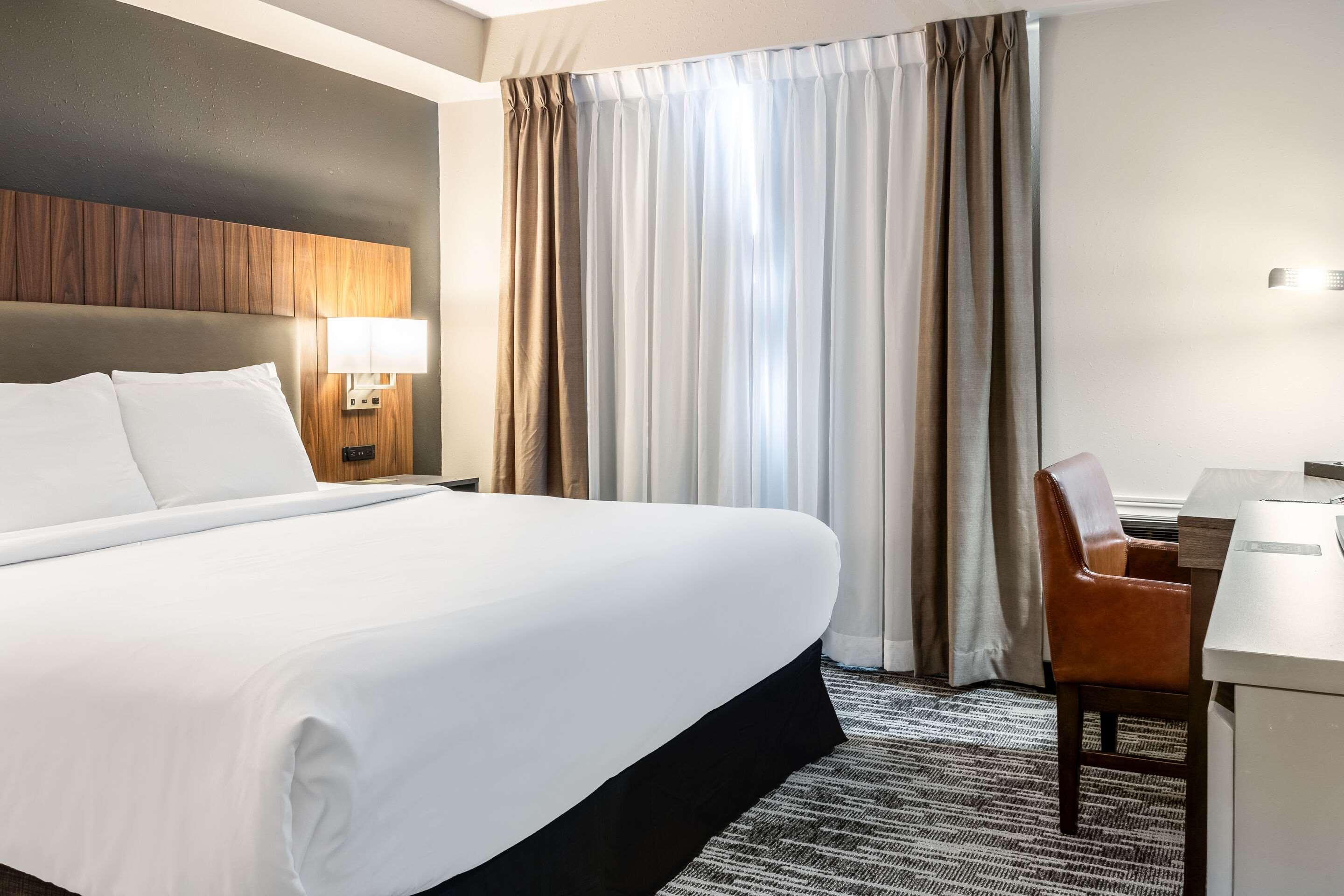 SUITE, KING BED