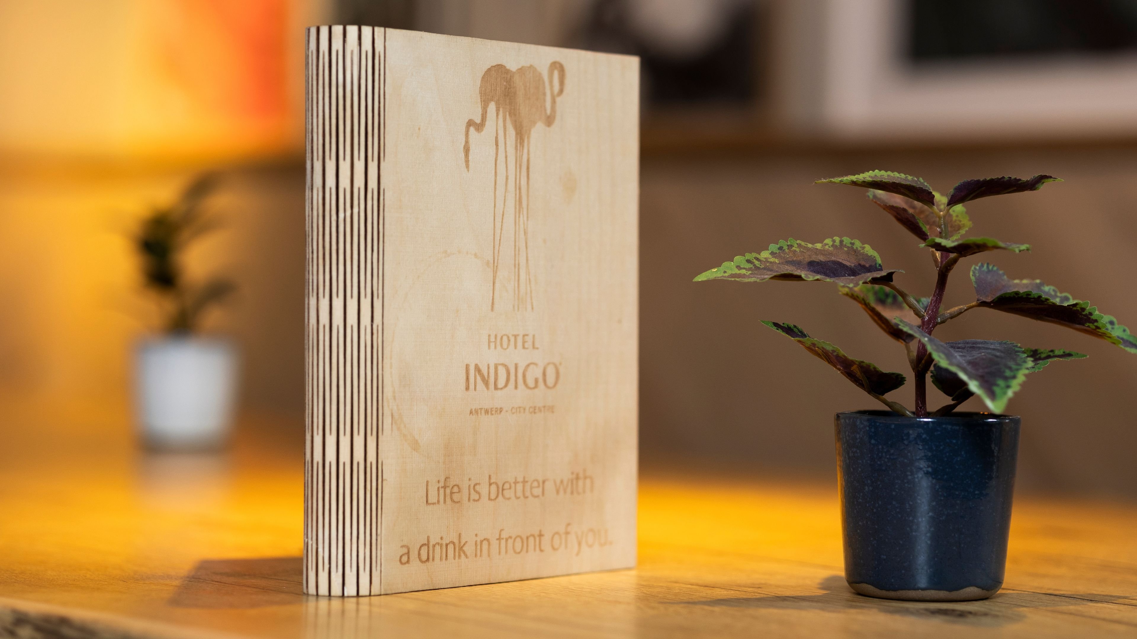 Hotel Indigo Antwerp City Centre 46/79