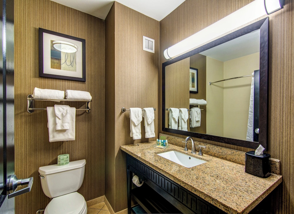 Holiday Inn Arlington Ne Rangers Ballpark 62/69