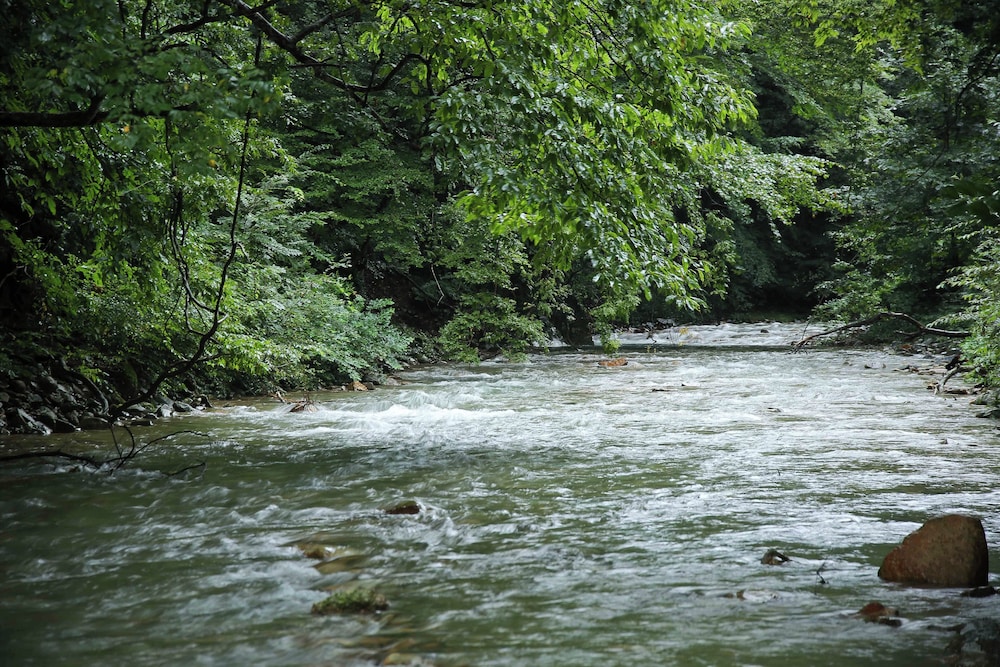 Shima Onsen Tokiwasure no Yado Yoshimoto 52/57