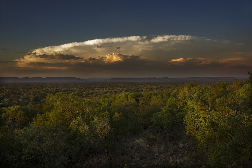 Thabaledi Game Lodge 29/50