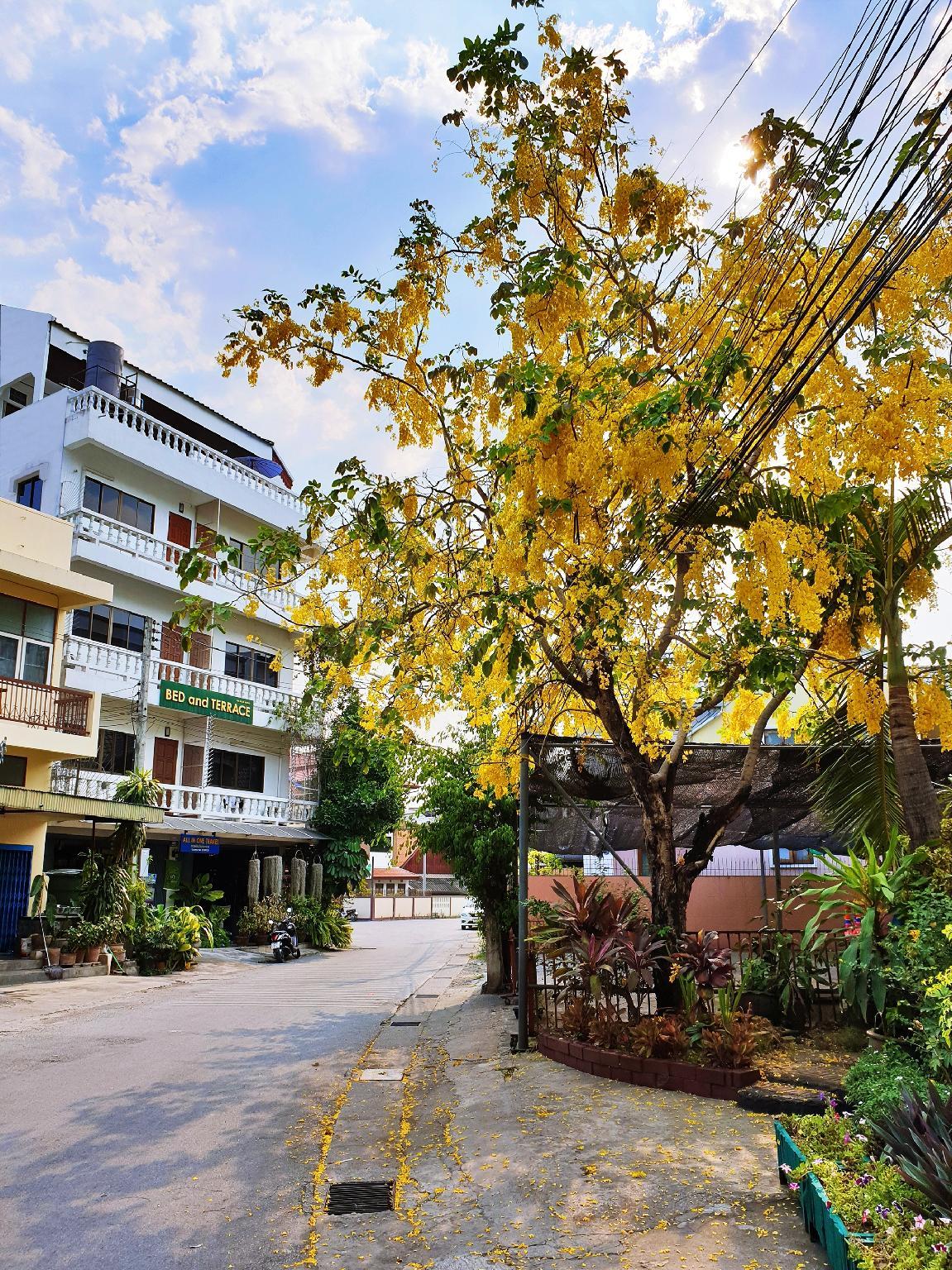 Bed and Terrace Guesthouse Chiang Mai 3/15