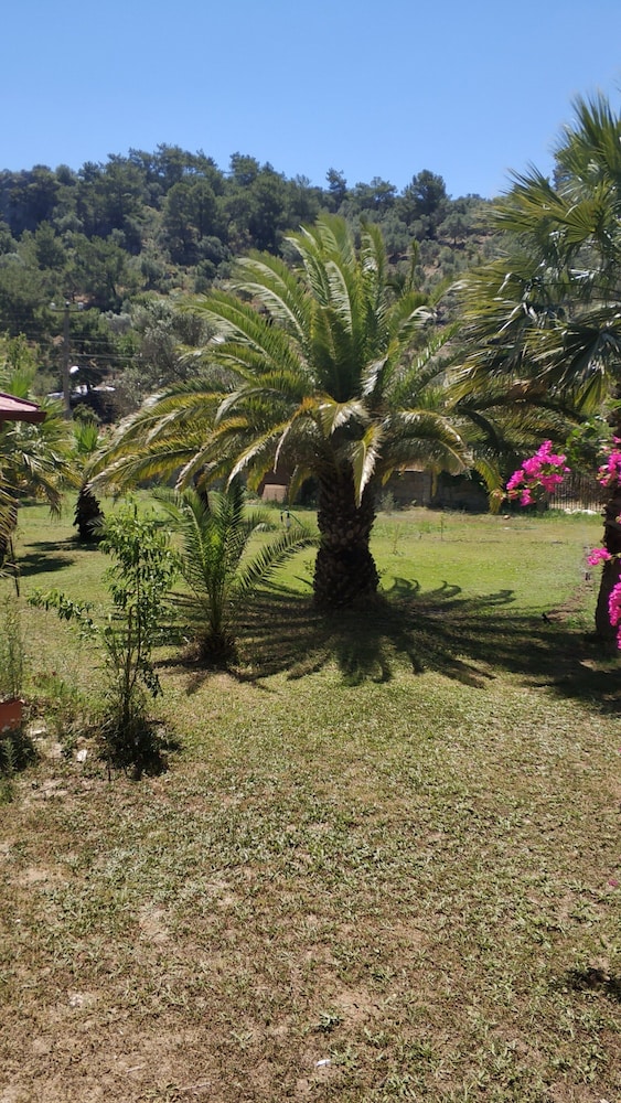 The Palm Apart Sarigerme 31/50