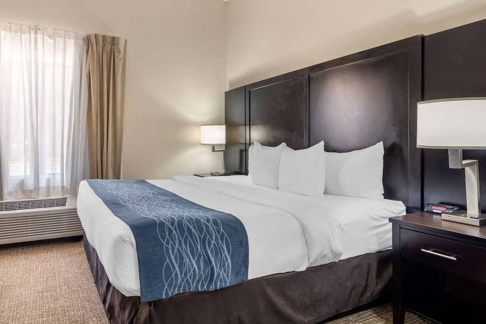 Comfort Inn & Suites Atlanta/Smyrna 10/35