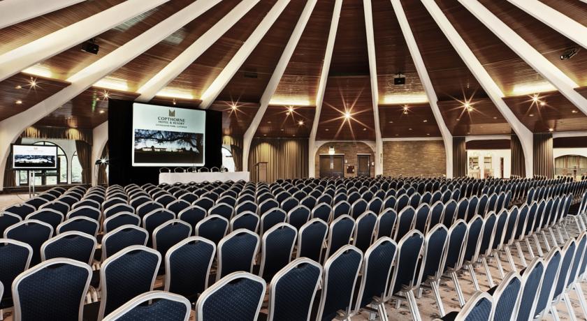 Copthorne Hotel Effingham Gatwick 31/38
