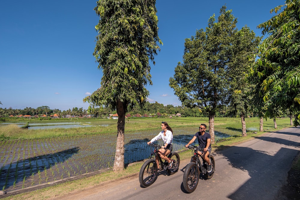 Emana Bambooscape Ubud 15/31