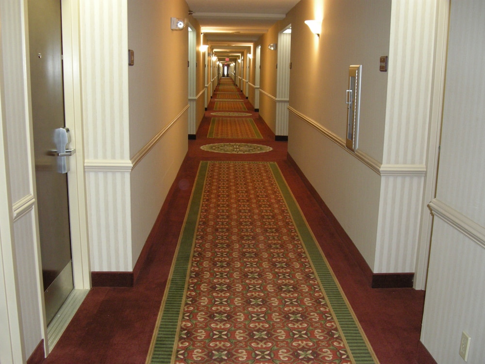 Holiday Inn Express Hotel And Suites Corinth 25/34