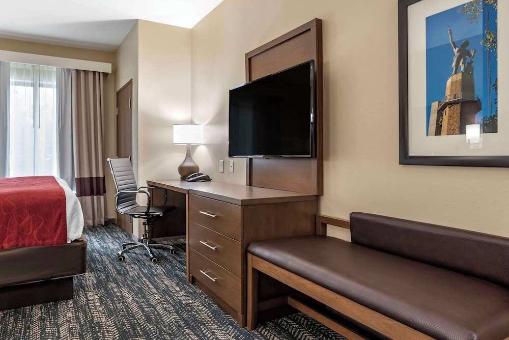 Comfort Inn and Suites Downtown near University 20/29