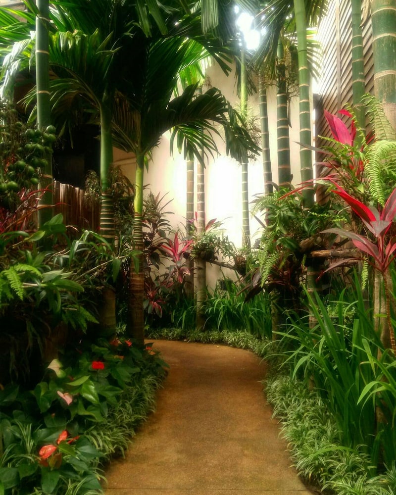 Viang Thapae Resort 40/50