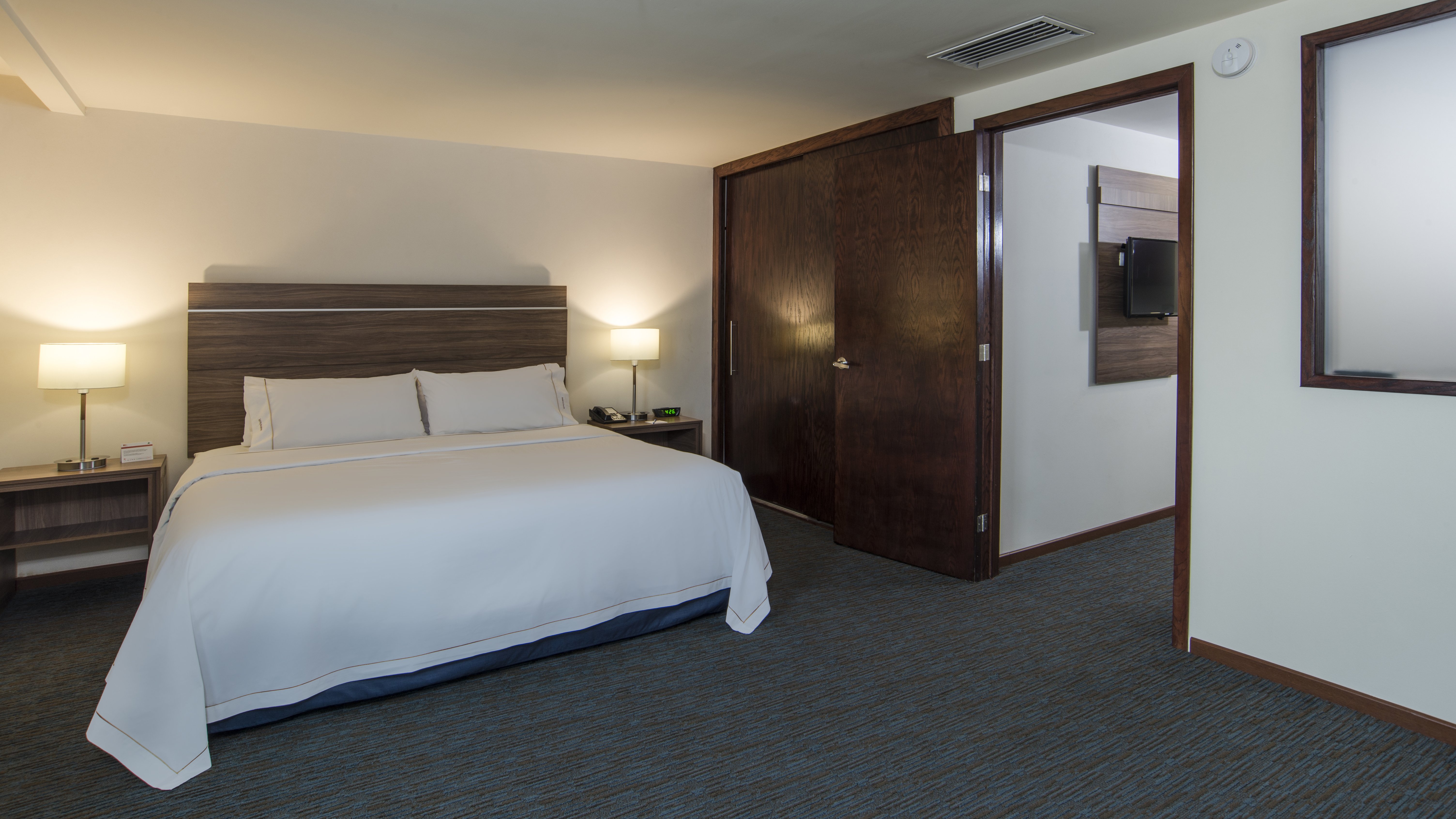 Holiday Inn Express Culiacan 16/50