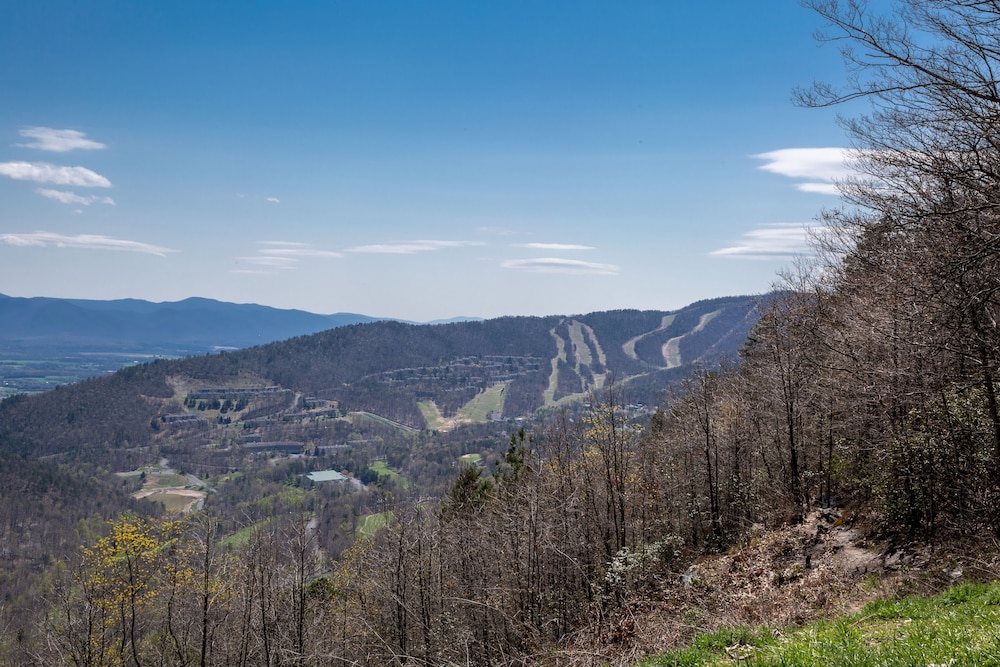 Mountainside Villas At Massanutten By Kees Vacations 42/49