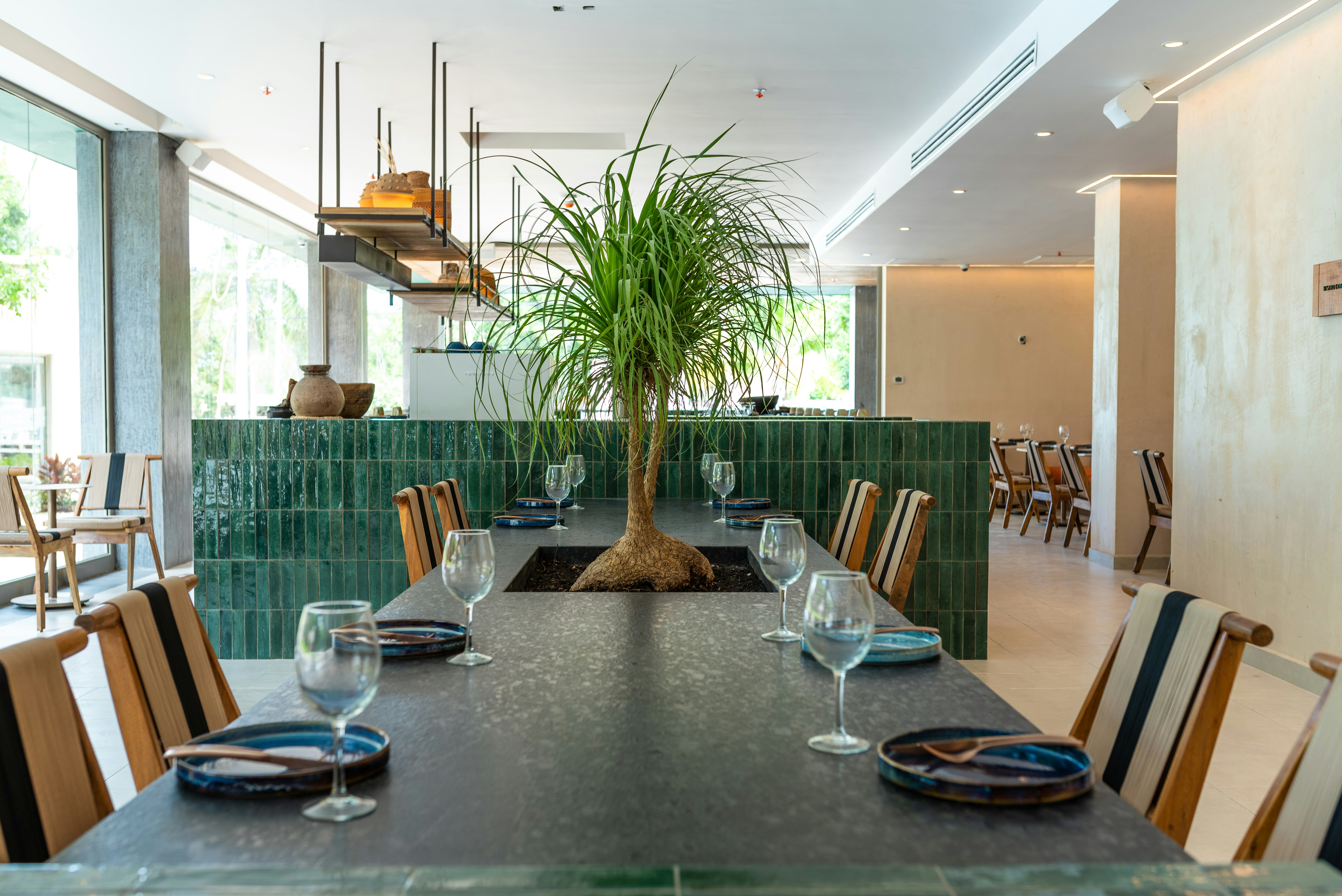 Motto by Hilton Tulum 33/56