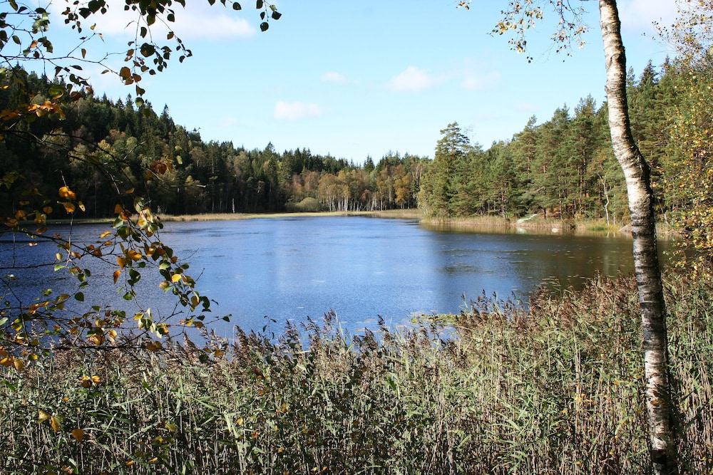 Bjorsjodal 39/50