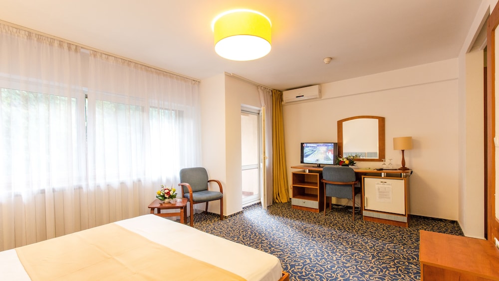 Herastrau Hotel 16/47